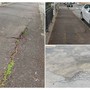 Buche e avvallamenti in città: i dem chiedono interventi urgenti