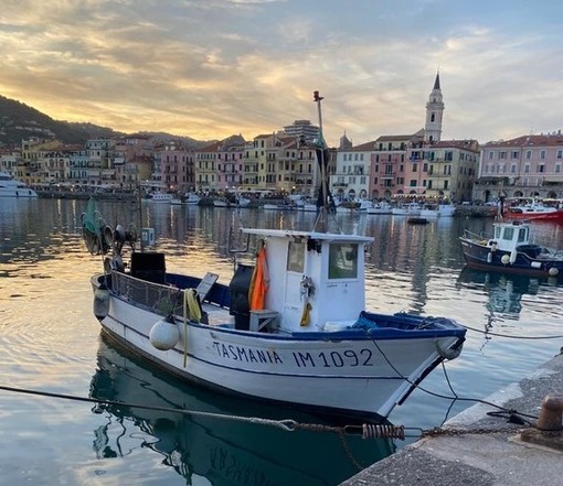 Dopo mesi di fermo biologico riparte la stagione della pesca all'acciuga