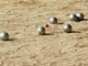 Qualificazioni all'EuroClub: da domani a domenica Imperia sarà la capitale europea della Petanque
