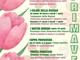 Benvenuta primavera, da sabato 23 marzo escursioni a San Bartolomeo al Mare