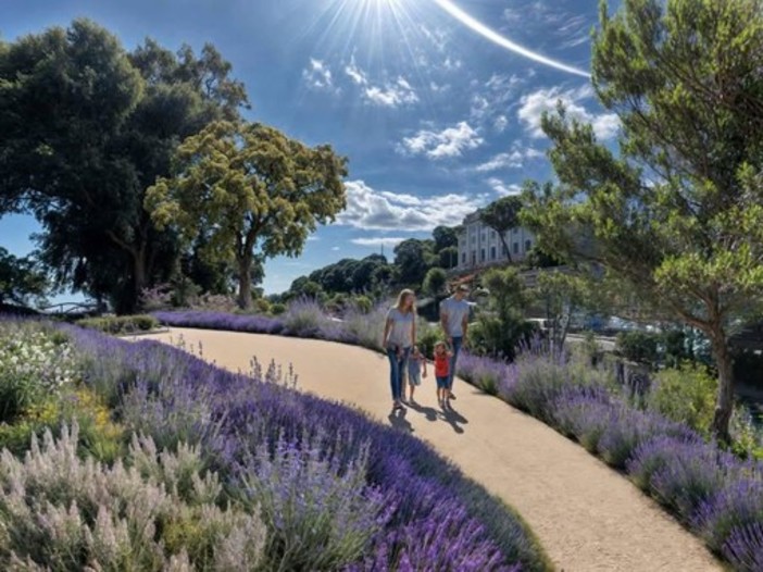 Bosco urbano sul Lungomare Vespucci, il Comune affida la direzione lavori