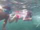 Imperia, snorkeling gratuito con i Delfini Del Ponente