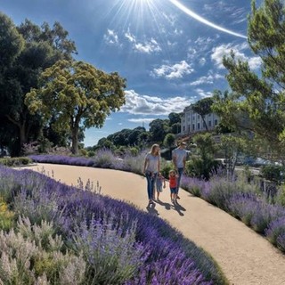 Imperia, via libera al bosco urbano sul lungomare Vespucci
