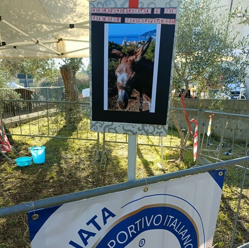 Alla Rovere la Bibl-io-Margherita narra della cultura del libro e della lettura: uno spazio magico aperto a tutti Alla Rovere la Bibl-io-Margherita narra della cultura del libro e della lettura: uno spazio magico aperto a tutti