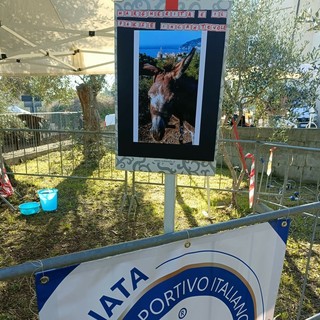 Alla Rovere la Bibl-io-Margherita narra della cultura del libro e della lettura: uno spazio magico aperto a tutti Alla Rovere la Bibl-io-Margherita narra della cultura del libro e della lettura: uno spazio magico aperto a tutti