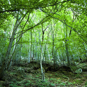 In arrivo un fine settimana alla scoperta della vera identità delle Alpi Liguri