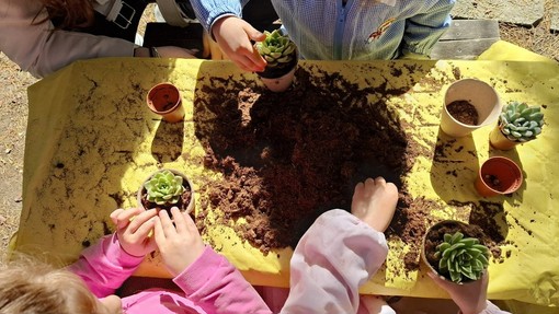 Progetto FEEL, ARTE Imperia porta la sostenibilità nelle scuole del territorio Progetto FEEL, ARTE Imperia porta la sostenibilità nelle scuole del territorio