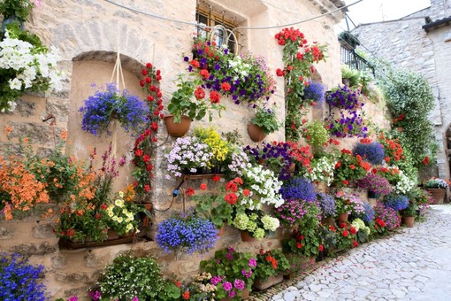 Al via la seconda edizione di 'Borghi in Fiore', il contest social per eleggere il paese fiorito più bello della Liguria