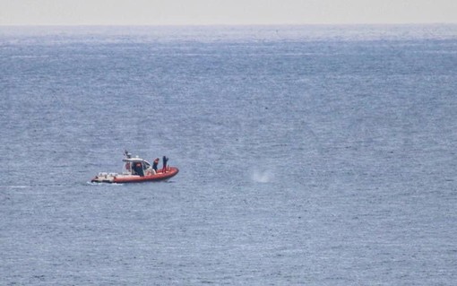 La balena grigia Wally avvistata in provincia di Imperia, l'esemplare scortato verso la Francia &quot;Non va avvicinato&quot;