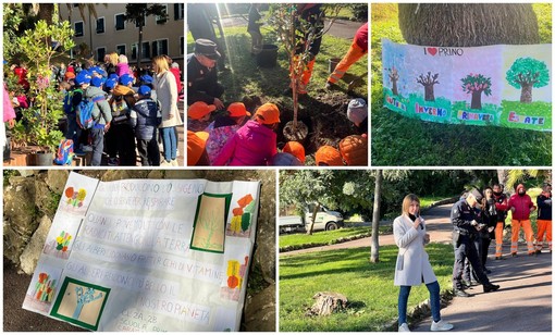 Giornata Nazionale dell'Albero, i bambini imperiesi partecipano alla piantumazione di quattro nuove piante Giornata Nazionale dell'Albero, i bambini imperiesi partecipano alla piantumazione di quattro nuove piante