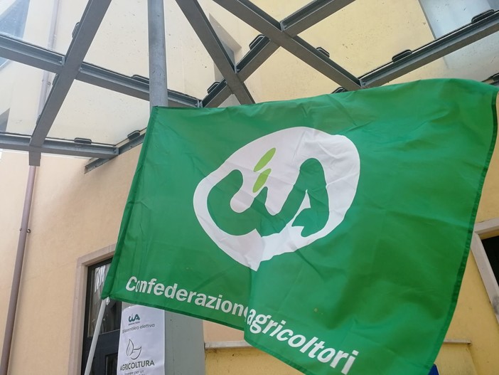 Danni da fauna selvatica alle coltivazioni, Cia chiede alla politica una revisione della legge 157