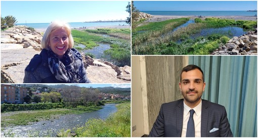 Birdwatching a Imperia, Bozzano: "Rassicuro l'assessore Sasso, la mia intenzione era di accendere un focus sull'argomento" Birdwatching a Imperia, Bozzano: "Rassicuro l'assessore Sasso, la mia intenzione era di accendere un focus sull'argomento"