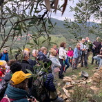 10ª Giornata Nazionale 'Camminata tra gli Olivi' 10ª Giornata Nazionale 'Camminata tra gli Olivi'