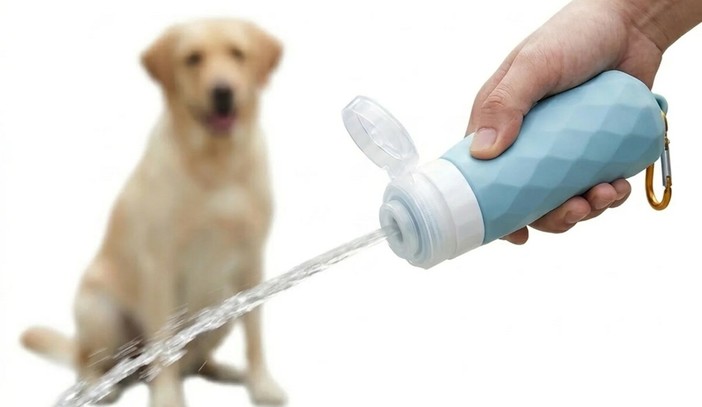 Imperia, fermata dai vigili a cinque metri da casa con il cane senza bottiglietta: multa da 300 euro