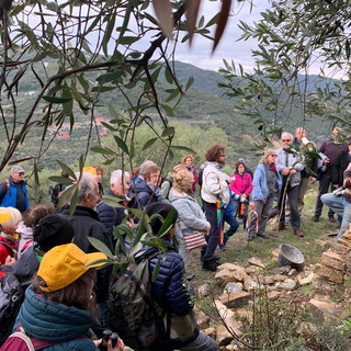 10ª Giornata Nazionale 'Camminata tra gli Olivi'