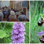 “Orchidee e fioriture spontanee del SIC Pizzo d’Evigno e delle valli intorno”: secondo appuntamento con gli “Incontri di Primavera” della Communitas Diani