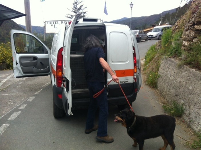 "Abbandono animali, bene la campagna di sensibilizzazione ma rendiamo la vita dei proprietari più facile