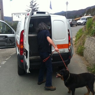 "Abbandono animali, bene la campagna di sensibilizzazione ma rendiamo la vita dei proprietari più facile