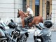 LA GRAFFIATA. A cavallo in piazza Dante a Imperia? È l’unico 'mezzo' che avanza nel traffico…