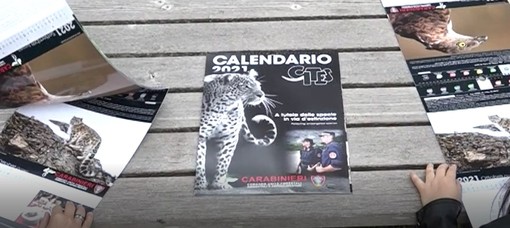 Presentato il calendario dei carabinieri del Cites 2021, forte l'impegno anche in provincia di Imperia a protezione delle specie a rischio (video)
