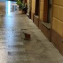Pezzo di cornicione cede in corso Garibaldi a Porto Maurizio: sfiorata la tragedia