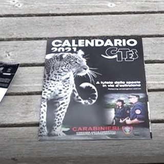 Presentato il calendario dei carabinieri del Cites 2021, forte l'impegno anche in provincia di Imperia a protezione delle specie a rischio (video)