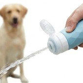 Imperia, fermata dai vigili a cinque metri da casa con il cane senza bottiglietta: multa da 300 euro Imperia, fermata dai vigili a cinque metri da casa con il cane senza bottiglietta: multa da 300 euro
