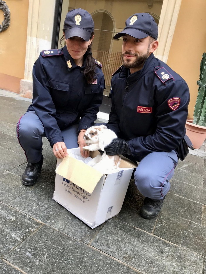 Imperia: consiglio abbandonato in mezzo alla strada salvato dagli agenti della Polizia