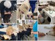 L'associazione Pet Team porta la pet therapy nelle case di riposo