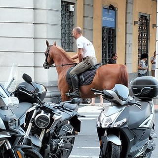 LA GRAFFIATA. A cavallo in piazza Dante a Imperia? È l’unico 'mezzo' che avanza nel traffico…