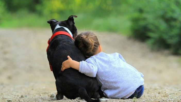 Realizzato il desiderio di una bambina malata: visita tra gli animali grazie al volontariato Realizzato il desiderio di una bambina malata: visita tra gli animali grazie al volontariato
