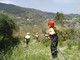 Regione: 385mila euro per comuni, organizzazioni di volontario e coordinamenti Aib per operazioni di antincendio boschivo