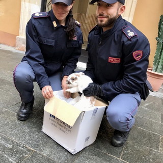 Imperia: consiglio abbandonato in mezzo alla strada salvato dagli agenti della Polizia