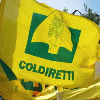 Made in Italiy, Coldiretti Liguria: “Stop al nutriscore sarebbe una risposta importante alle nostre battaglie”