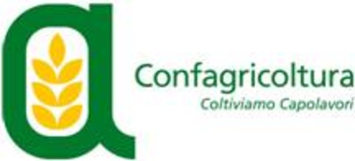 Coronavirus: Confagricoltura "Governo e parti sociali insieme per superare questa fase" Coronavirus: Confagricoltura "Governo e parti sociali insieme per superare questa fase"