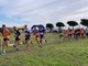 Corsa Campestre, al via domenica il campionato regionale di cross organizzato dal 'Marathon Club Imperia' (Foto) Corsa Campestre, al via domenica il campionato regionale di cross organizzato dal 'Marathon Club Imperia' (Foto)