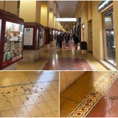 La lotta del Comune contro i piccioni in centro a Oneglia: affidato nuovo servizio di allontanamento La lotta del Comune contro i piccioni in centro a Oneglia: affidato nuovo servizio di allontanamento