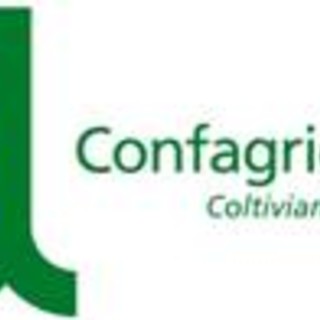 Coronavirus: Confagricoltura "Governo e parti sociali insieme per superare questa fase" Coronavirus: Confagricoltura "Governo e parti sociali insieme per superare questa fase"