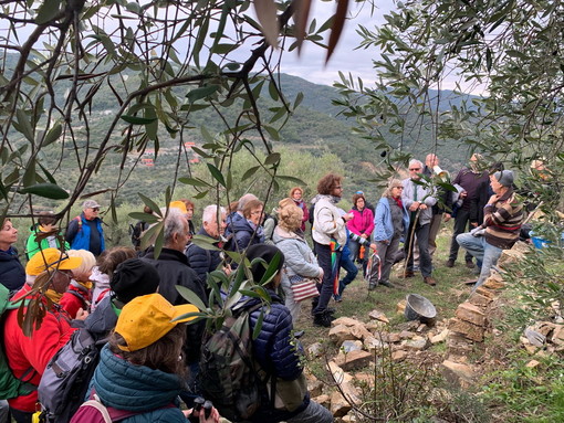 10ª Giornata Nazionale 'Camminata tra gli Olivi' 10ª Giornata Nazionale 'Camminata tra gli Olivi'