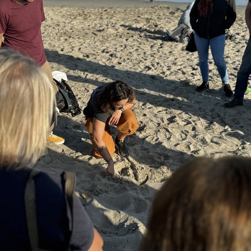 A Imperia nascono i “vigilantes” delle tartarughe marine
