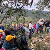 10ª Giornata Nazionale 'Camminata tra gli Olivi' 10ª Giornata Nazionale 'Camminata tra gli Olivi'