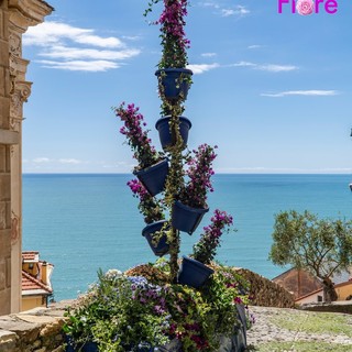 Cervo resta a bocca asciutta, Millesimo vince 'Borghi in Fiore'