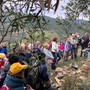 10ª Giornata Nazionale 'Camminata tra gli Olivi' 10ª Giornata Nazionale 'Camminata tra gli Olivi'