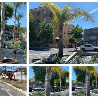 Diano Marina, prosegue il restyling dell'ex sedime ferroviario: piantati alberi e arbusti (foto)