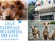 Diano Marina, tutela degli animali randagi: approvata la convenzione con la sezione imperiese della Lega nazionale 'Difesa del cane'