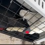 Cigno in difficoltà sul molo lungo di Oneglia: recuperato e affidato alle cure della Vigilanza Animale Regionale