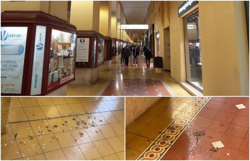 La lotta del Comune contro i piccioni in centro a Oneglia: affidato nuovo servizio di allontanamento La lotta del Comune contro i piccioni in centro a Oneglia: affidato nuovo servizio di allontanamento