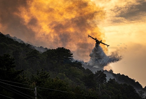 Emergenza incendi: in azione due canadair, obiettivo spegnere le fiamme a Ceriana