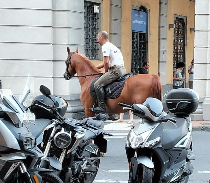LA GRAFFIATA. A cavallo in piazza Dante a Imperia? È l’unico 'mezzo' che avanza nel traffico…