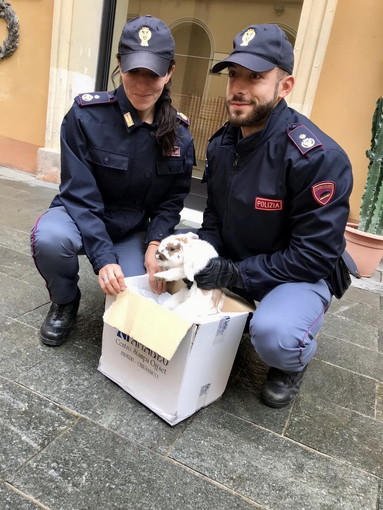 Imperia: consiglio abbandonato in mezzo alla strada salvato dagli agenti della Polizia Imperia: consiglio abbandonato in mezzo alla strada salvato dagli agenti della Polizia